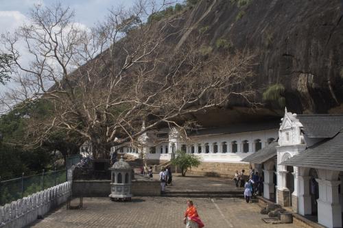 Dambulla
