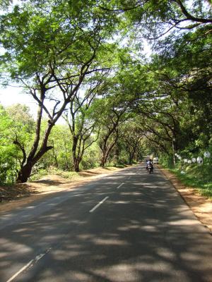 Dambulla