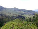 Riverstone