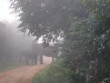 Wasgamuwa