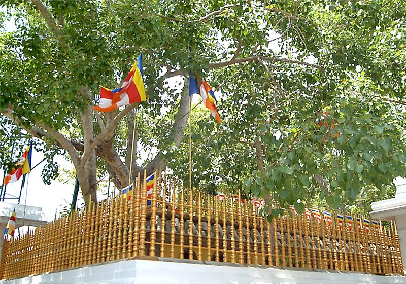 ANURADHAPURA