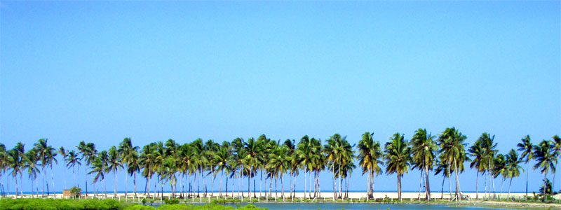 KALPITIYA - SRI LANKA